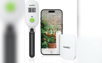 Can a Hygrometer Alert Me If Humidity is Too High?