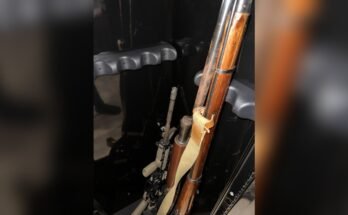 Can a Hygrometer Prevent Rust in a Gun Safe?