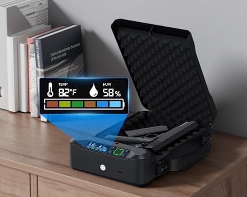 HOLEWOR Car Gun Safe Review