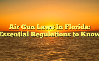 Air Gun Laws In Florida: Essential Regulations to Know