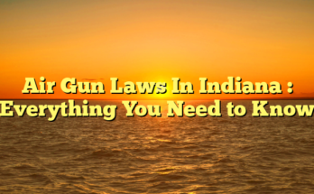 Air Gun Laws In Indiana  : Everything You Need to Know