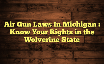 Air Gun Laws In Michigan  : Know Your Rights in the Wolverine State