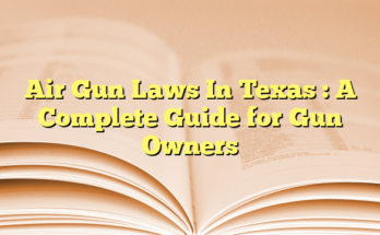 Air Gun Laws In Texas  : A Complete Guide for Gun Owners