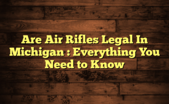 Are Air Rifles Legal In Michigan  : Everything You Need to Know