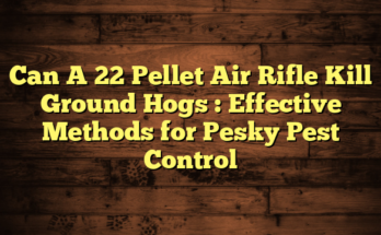 Can A 22 Pellet Air Rifle Kill Ground Hogs  : Effective Methods for Pesky Pest Control