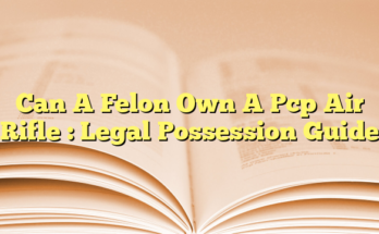 Can A Felon Own A Pcp Air Rifle  : Legal Possession Guide