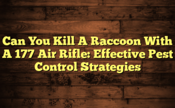 Can You Kill A Raccoon With A 177 Air Rifle: Effective Pest Control Strategies