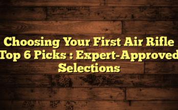 Choosing Your First Air Rifle Top 6 Picks  : Expert-Approved Selections