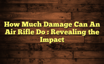 How Much Damage Can An Air Rifle Do  : Revealing the Impact