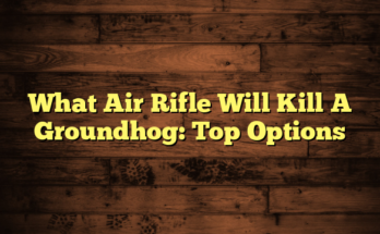 What Air Rifle Will Kill A Groundhog: Top Options