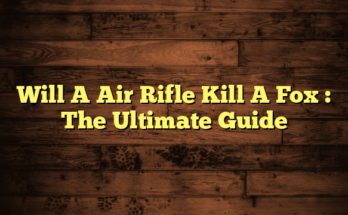 Will A Air Rifle Kill A Fox  : The Ultimate Guide